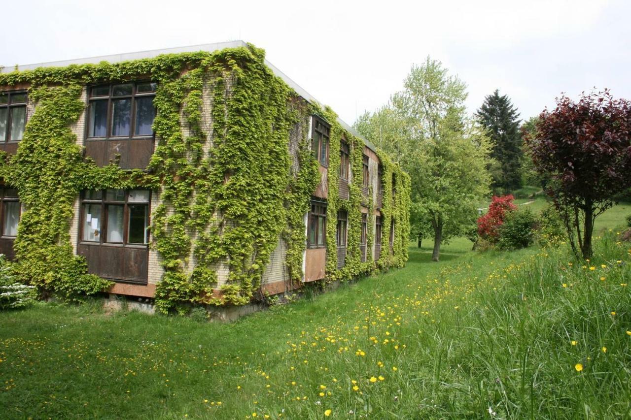 Parkblick Appartement - Entspannung Pur! Ober-Hambach Exteriér fotografie
